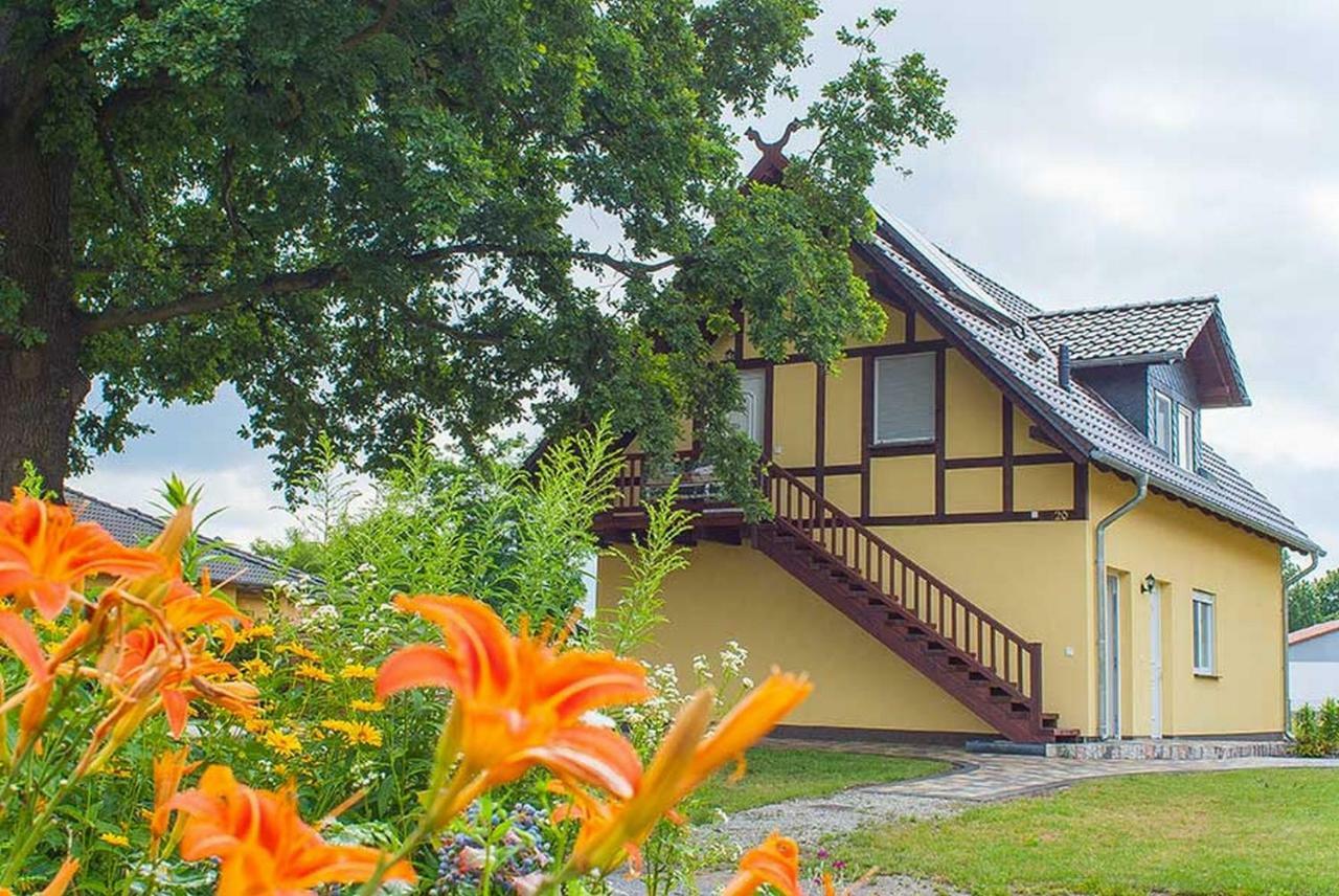 Ferienwohnungen Am Roten Nil 吕本 外观 照片